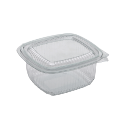 Σκεύος Pet 500ml (100τμχ)